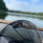 Дом отдыха Nini House Gize