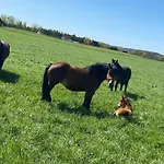 Дом отдыха Nini House Gize