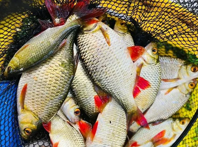 Nini House Vakantiehuis