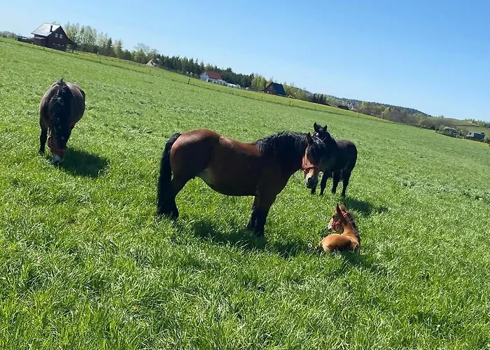 Vakantiehuis Nini House Giże